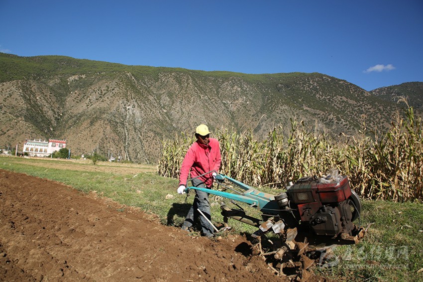 田園藏鄉(xiāng)美如畫，百姓脫貧喜在心