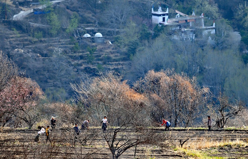 鉚足“?！眲鸥髅? onload=