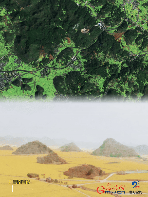 清明游玩賞花圖鑒來(lái)了！衛(wèi)星鏡頭帶你先睹為快